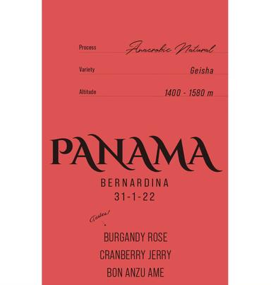 PANAMA BERNARDINA 31-1-22