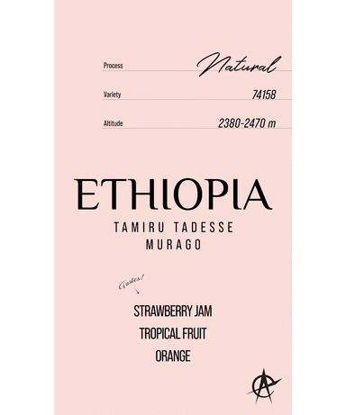 Ethiopia Tamiru Tadesse Murago, 74158 - Natural